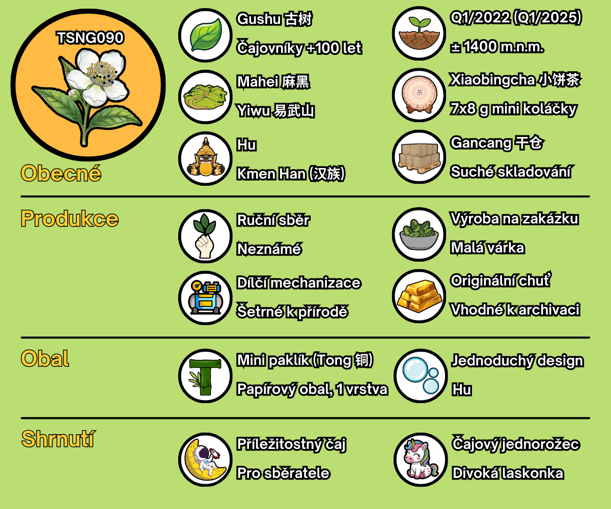 TSNG090 - CZ - oprava